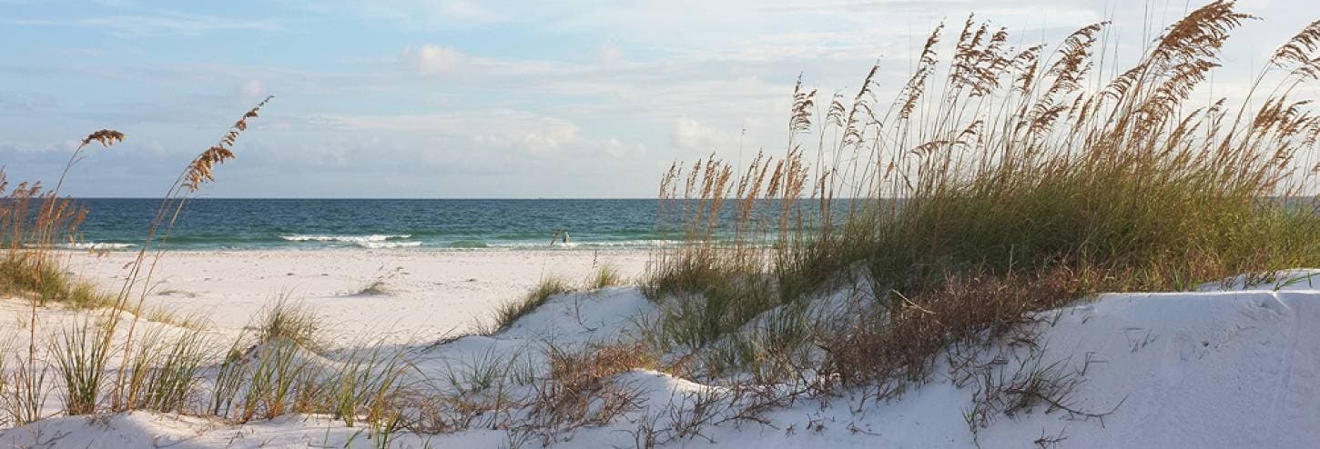 Cycling Adventures with Cruiser Bike Rentals on Hilton Head