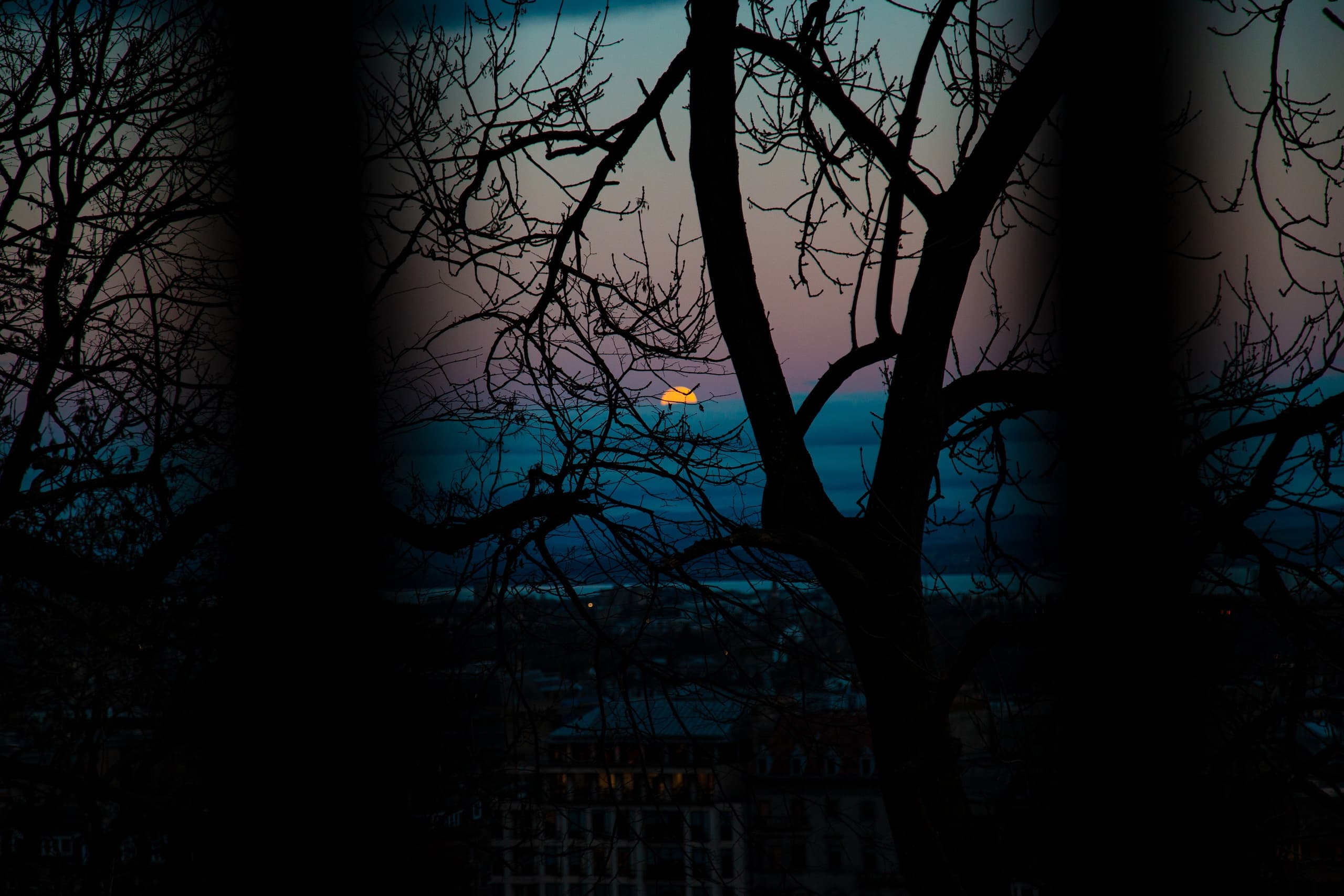 Explore Edinburgh’s Dark Past: The Damned Souls Lantern Tour Experience
