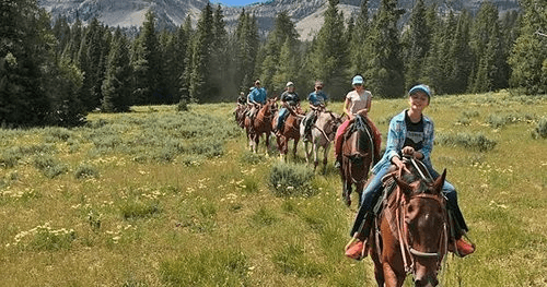 Guided horseback trail ride across alpine meadow and pines