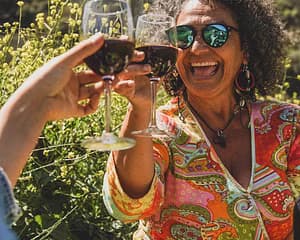 Wine Tasting at Bodega Los Lirios with Tour2B
