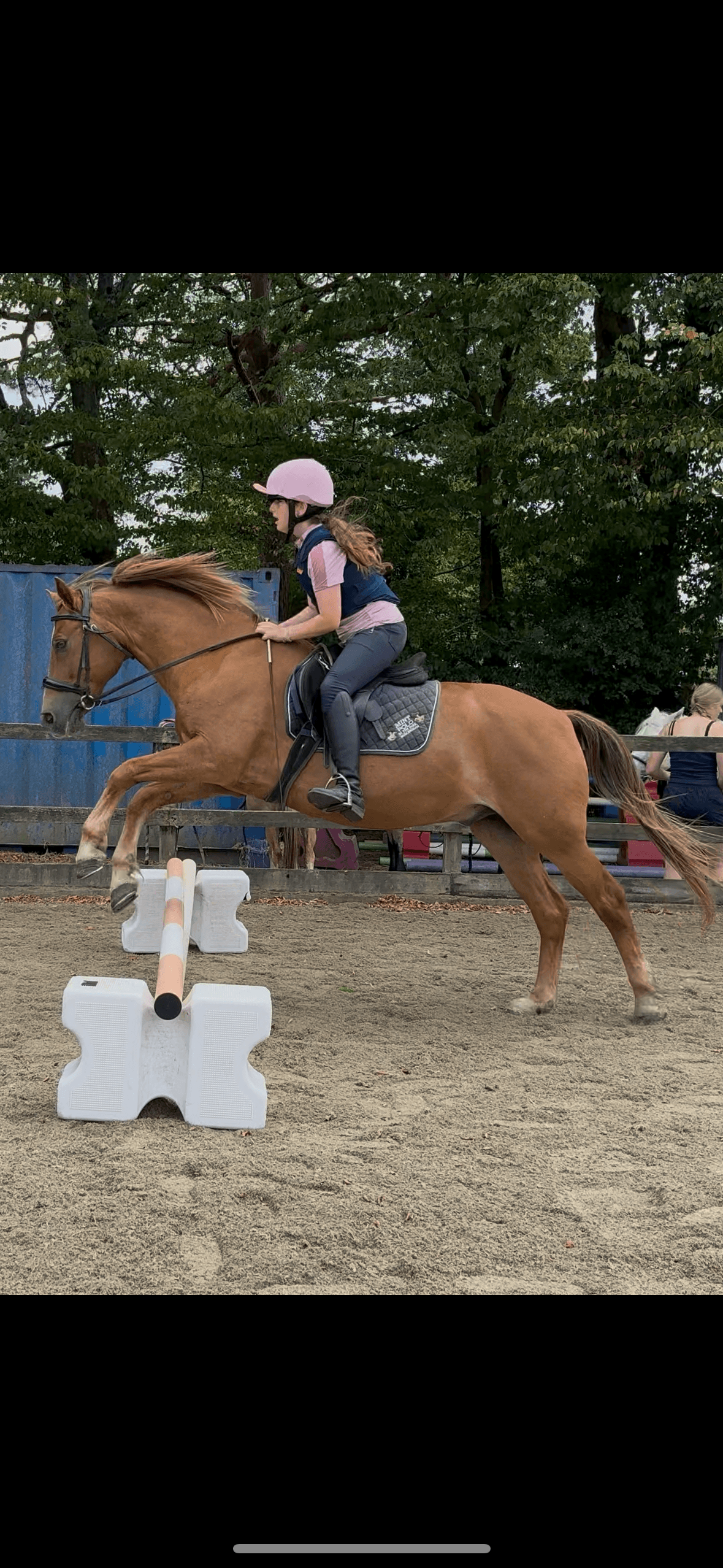 Equestrian Adventures at Coombe Stables Riding School