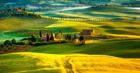 Chianti Wine & San Gimignano Tour with Under The Tuscan Sun Tours