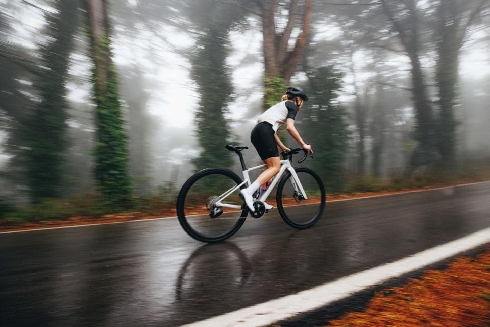 Performance Road Bike Rental in Calistoga, CA