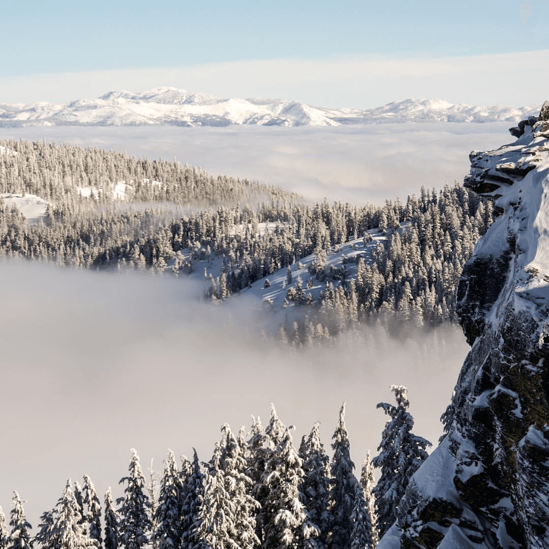 Snowshoe Wine Tasting Tour in Homewood, California