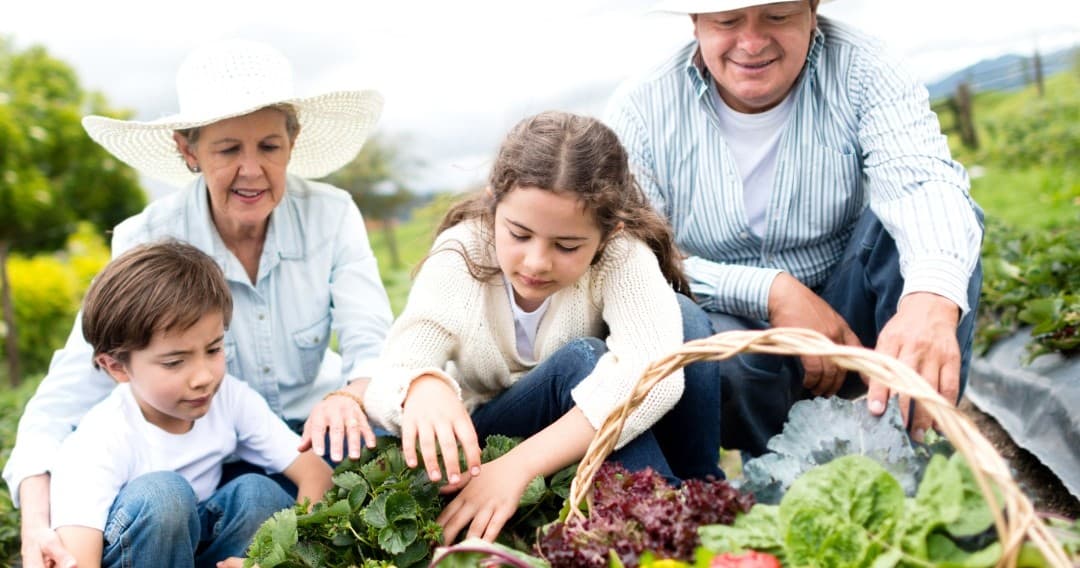 Farm Experiences & Tours at Pedagogical Farm: A Family Adventure
