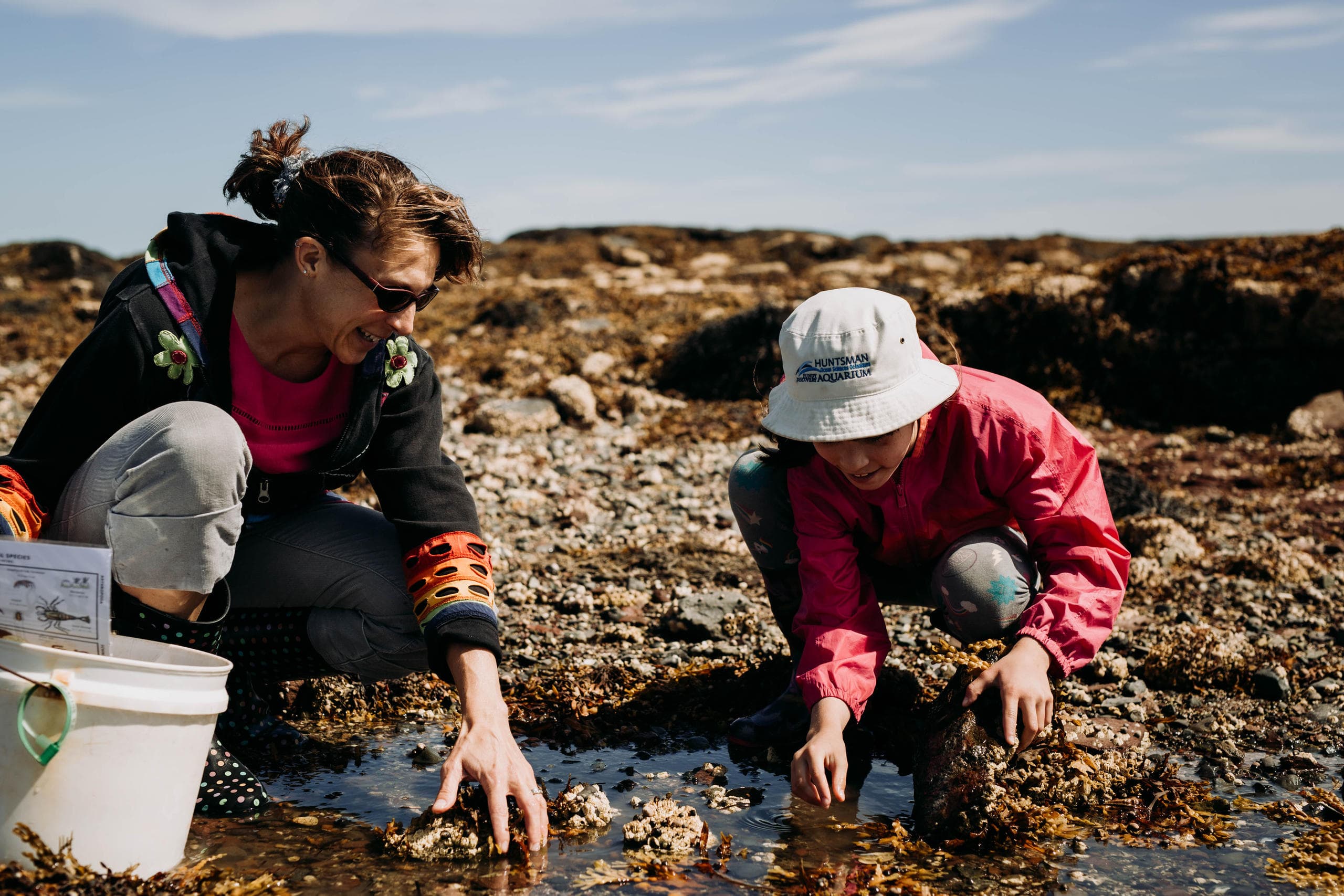 Researchers exploring rocky intertidal shore, observing tidepool life