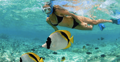 Snorkeler swimming with colorful reef fish in clear tropical water
