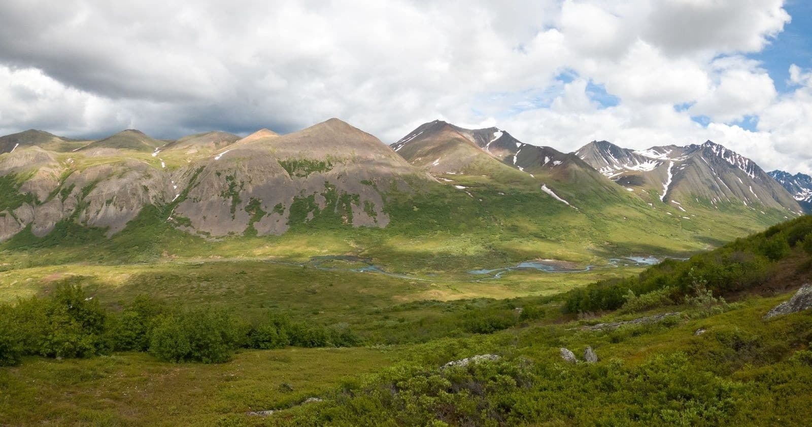 Denali Day Hikes team