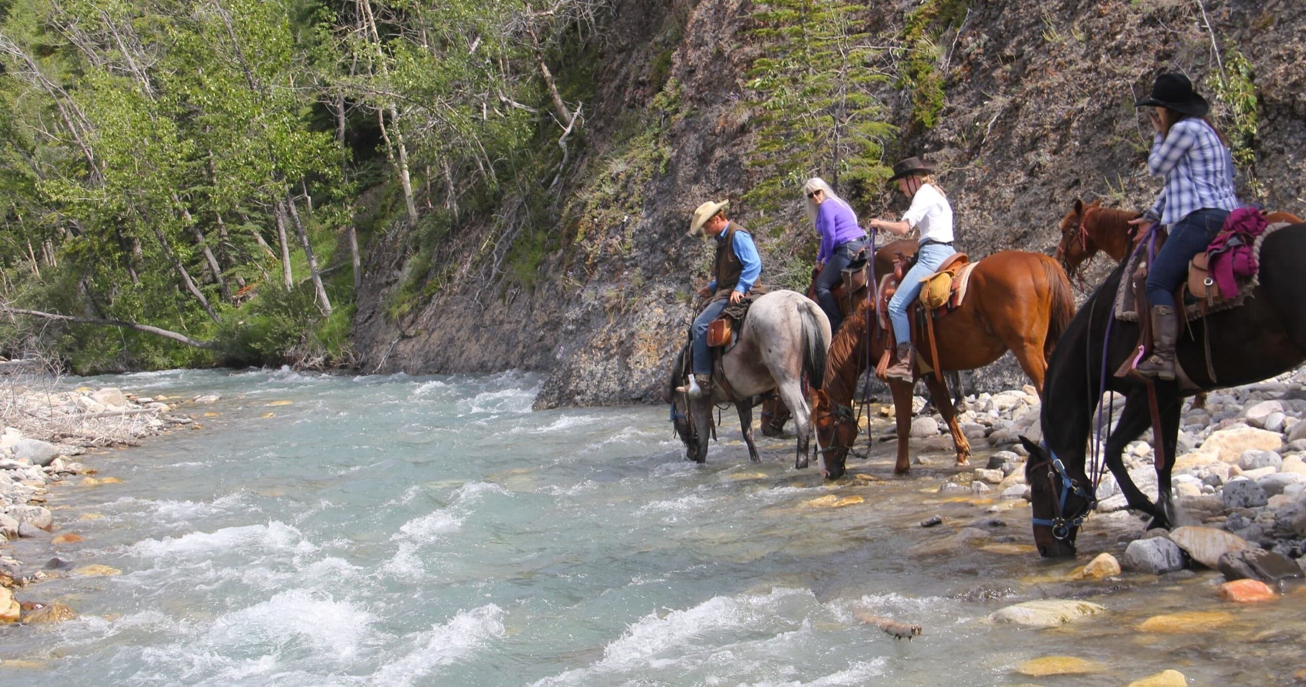 Horseback Trail Ride at McKenzie's Trails West in Clearwater County