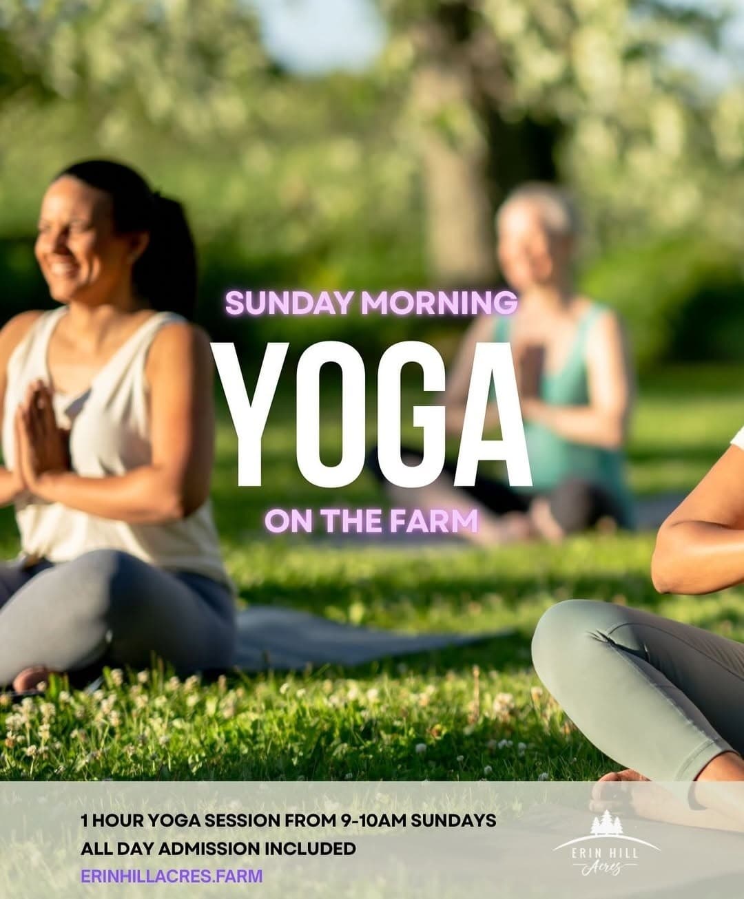 Sunday Yoga at Erin Hill Acres: Outdoor Farm Yoga with Katherine Boudreau