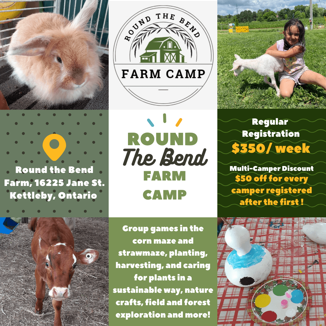 Farm camp collage showing animals activities and outdoor kids' crafts