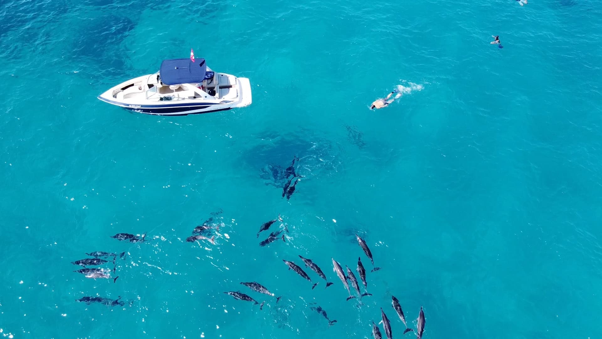 Kona Private Harbor Trip with Aloha Kona Tours