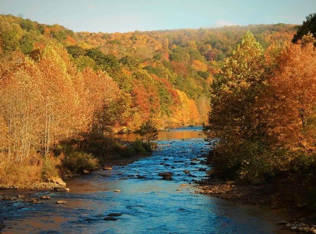 Wild Trout Fishing at Upper Lehigh River with Precision Fly and Tackle