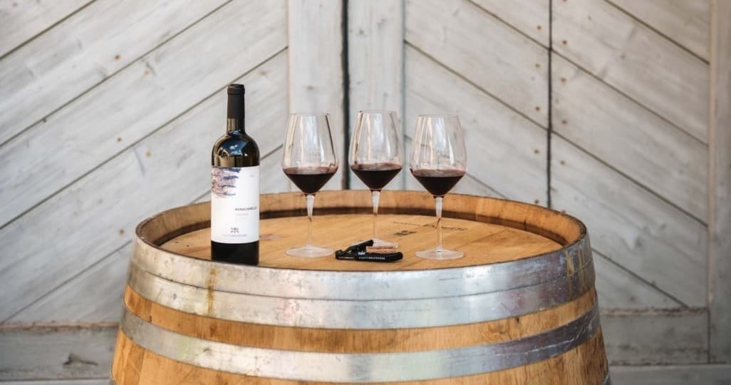 Four Sangiovese Voices: Vineyard Tasting in Southern Chianti Classico