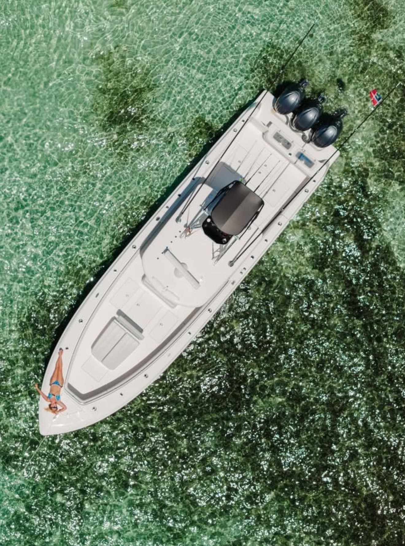 Private Island Charter from Fort Myers Beach: Shelling, Dolphins & Sandbars photo 2