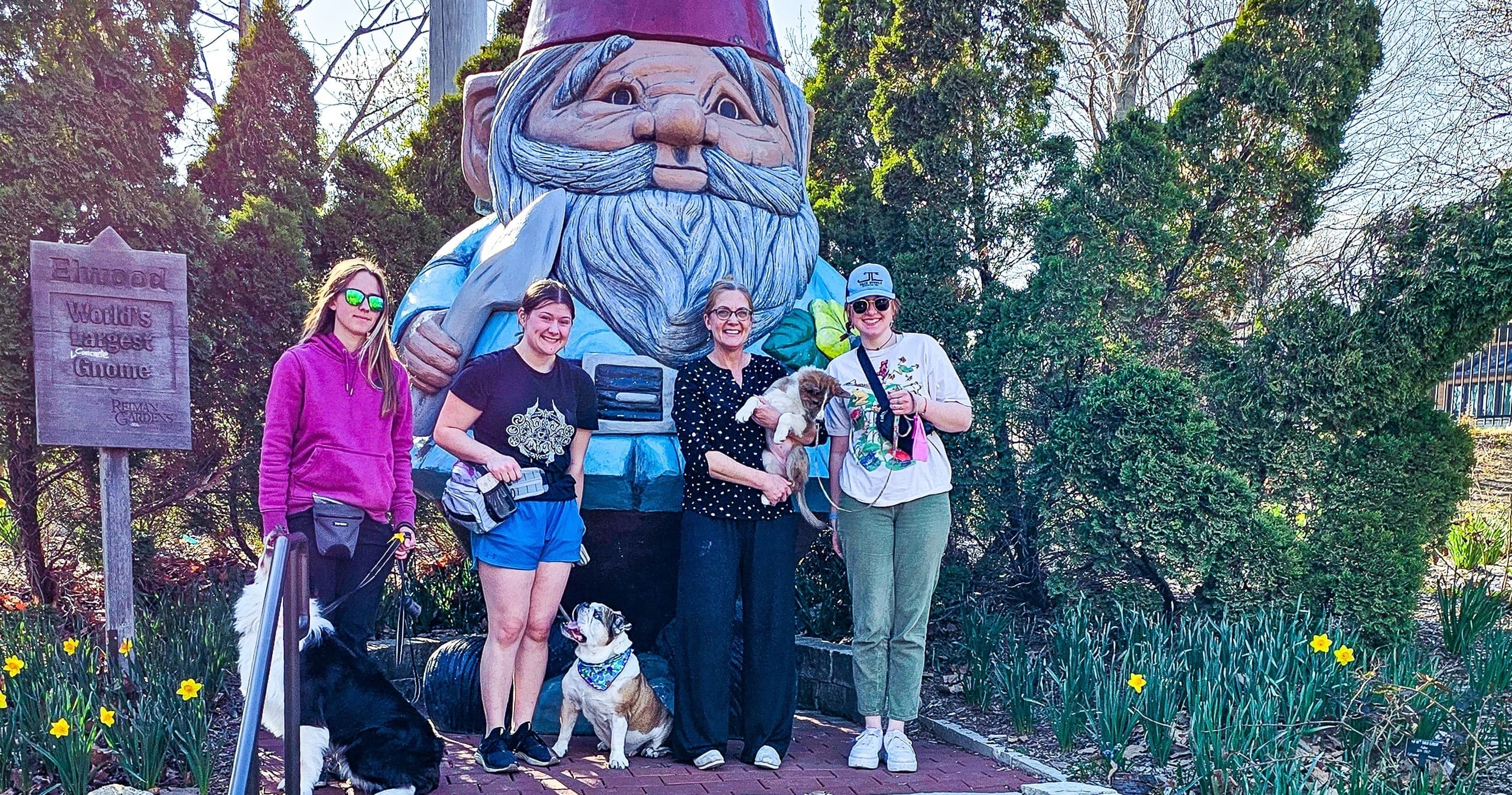 Outdoor Dog Socials at Reiman Gardens