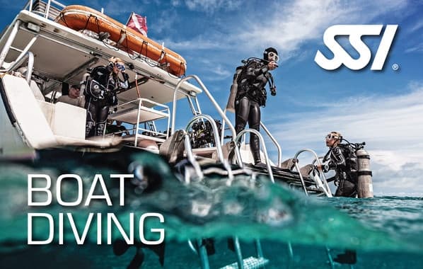 Boat Diving Business: We Dive - Unforgettable Marine Adventures