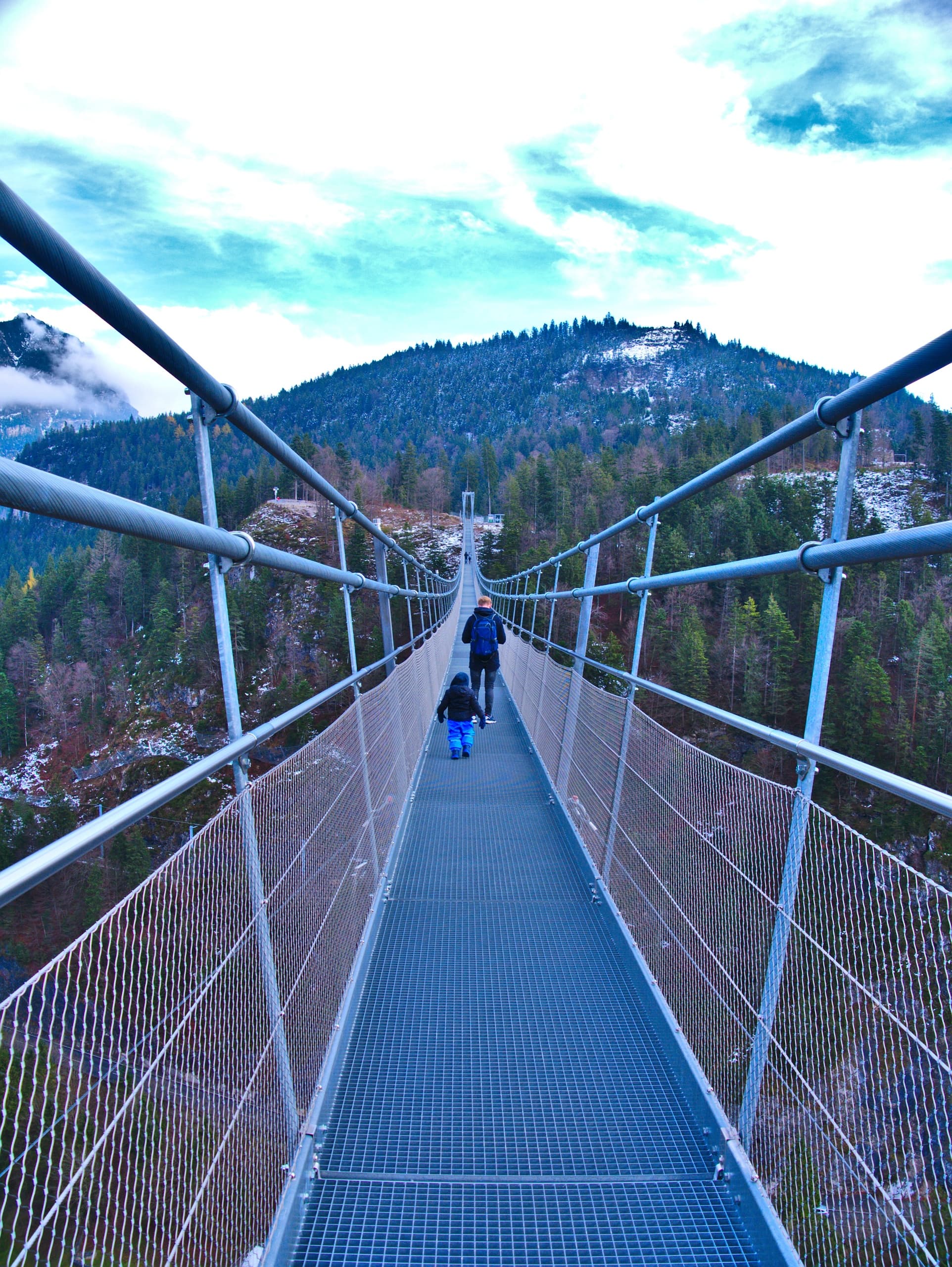 Neuschwanstein Castle & Highline179 Tour by Special Private Tours