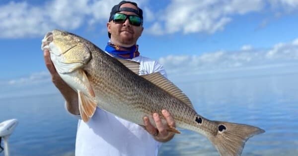 Angler holding large redfish on calm Gulf waters off Crystal River