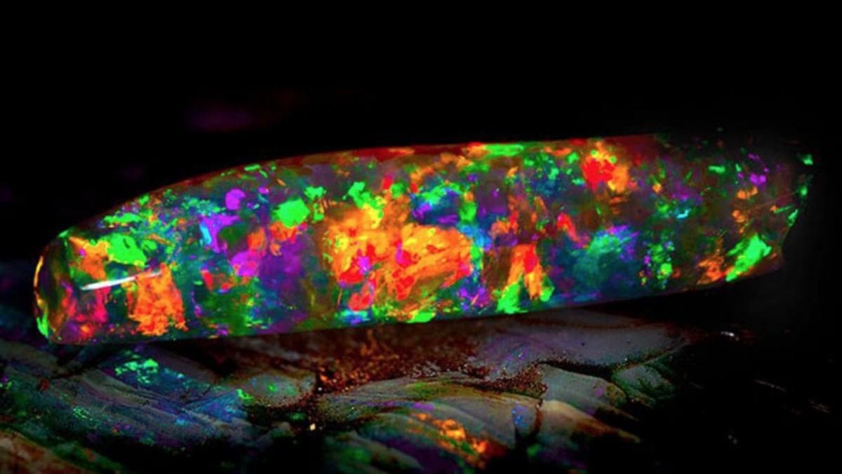 Cave Tour & Celebration at Crystal Cave