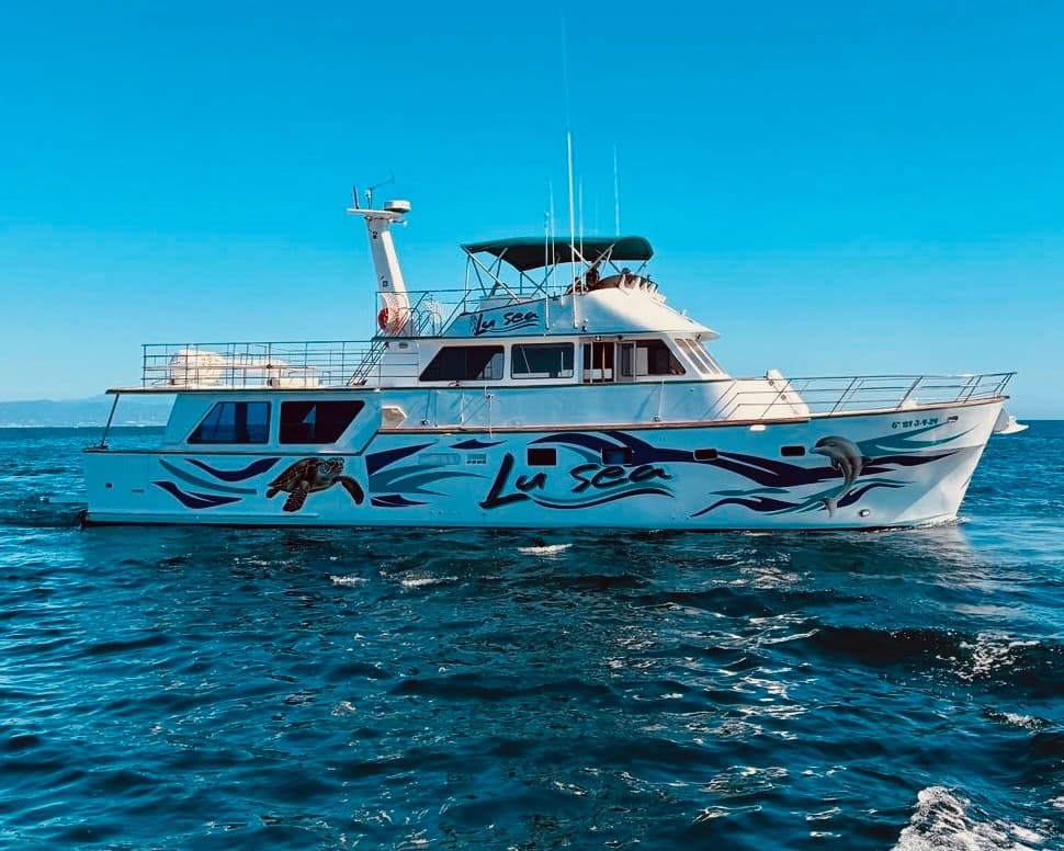 XXL Slides, Snorkel & Wildlife: Torremolinos Boat Excursion