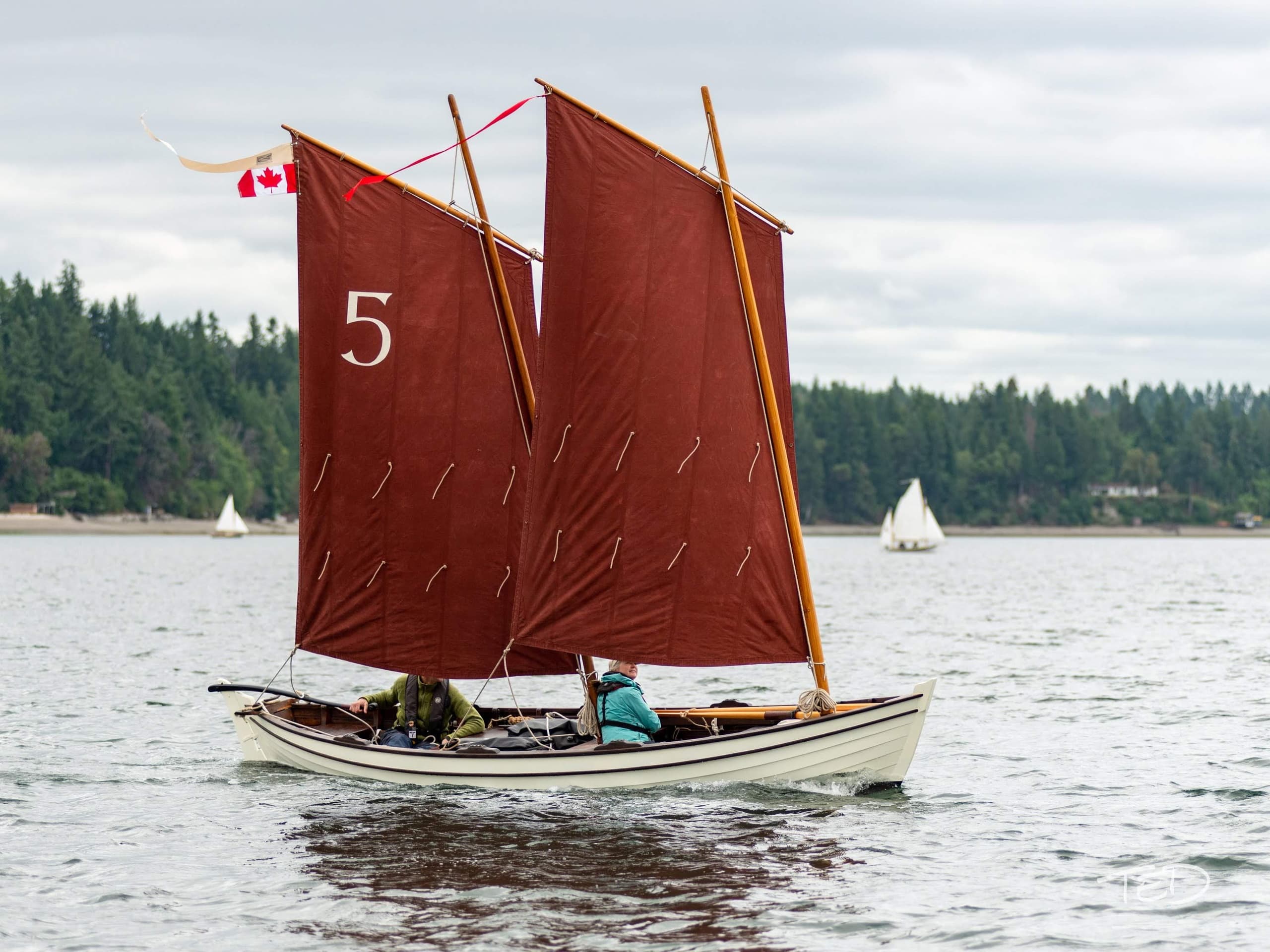Outdoor Water Activities with Quinque on Salish Sea