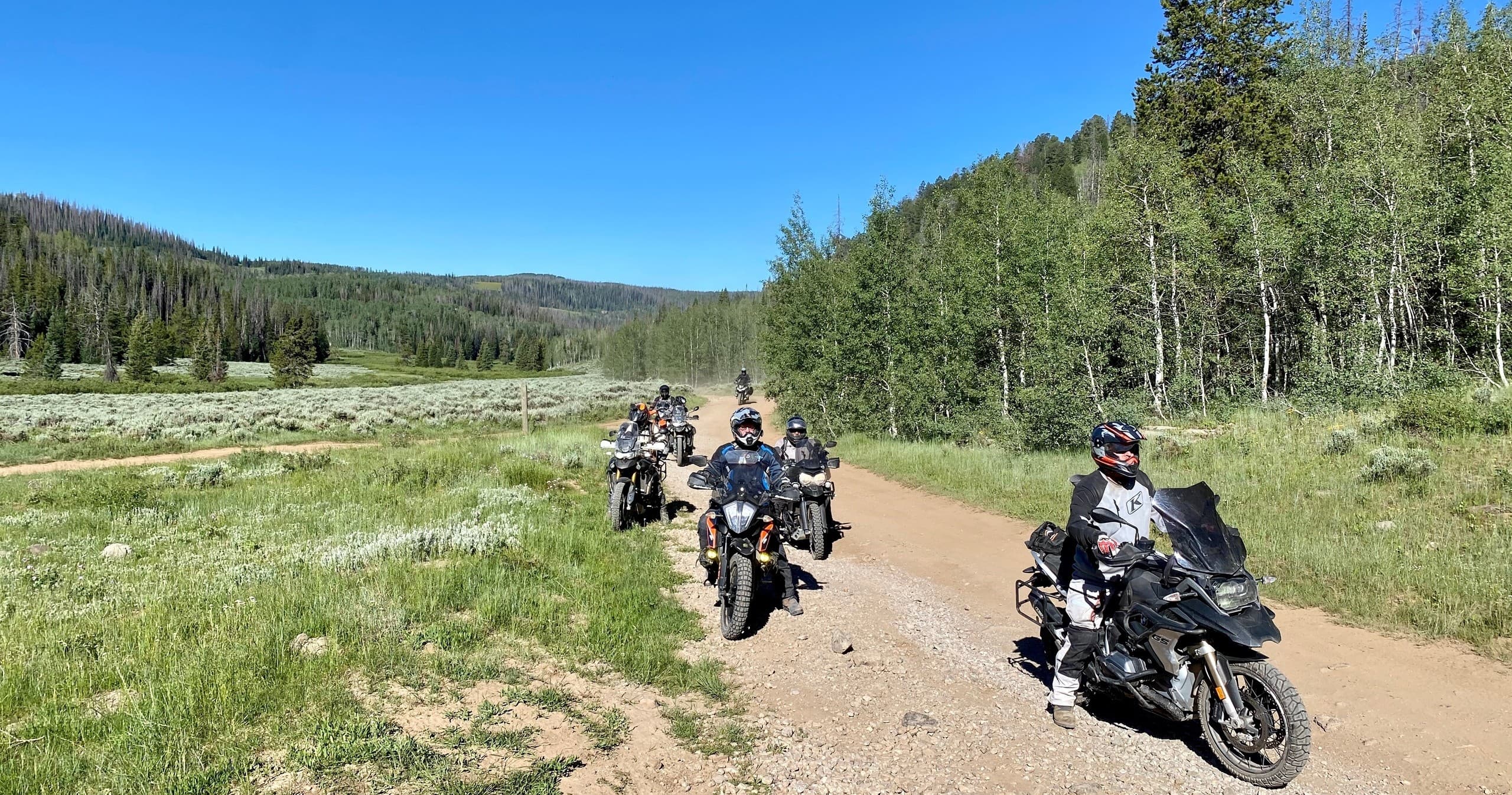 Group of adventure riders touring scenic aspen forest dirt trail