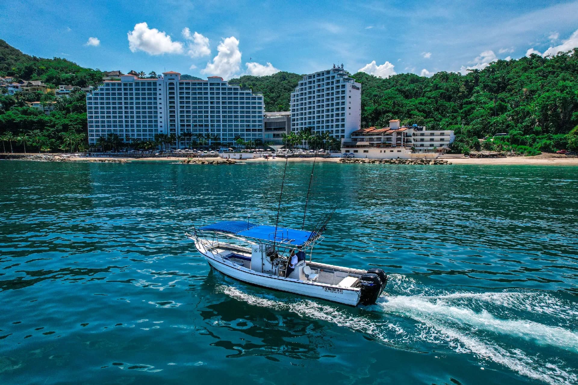 Sport Fishing Adventures with Puerto Vallarta Net