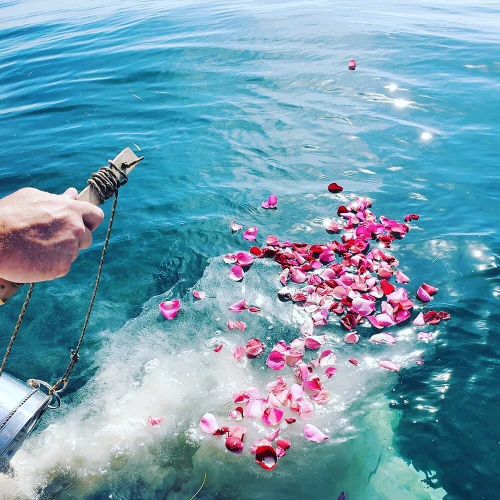 Ocean Ash Scattering Experience in Lake Park, Florida