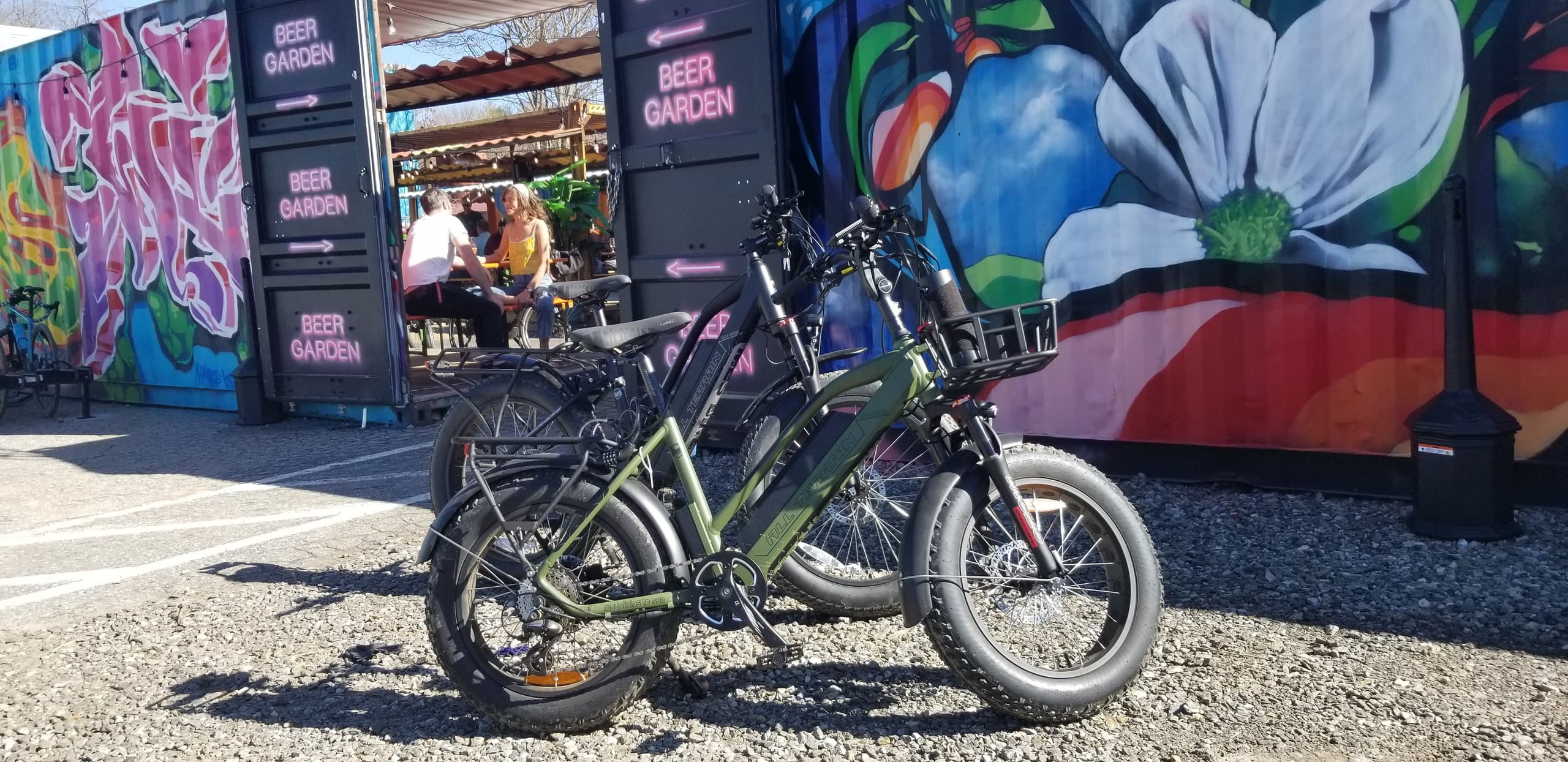 6 Hour E Bike Rental Adventure with French Broad Outfitters