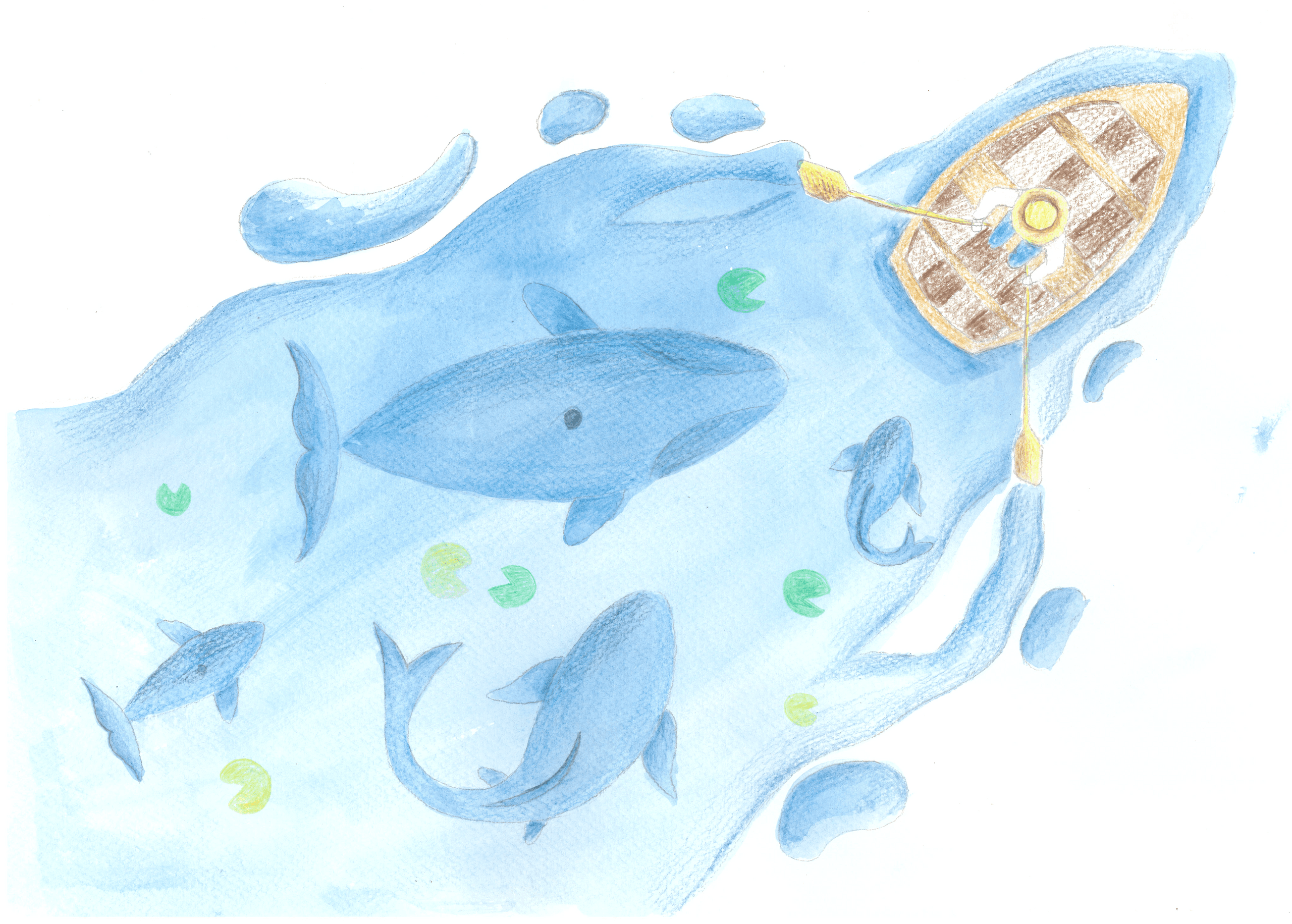 Whale-watch Watercolours at Melbourne Studio of Art