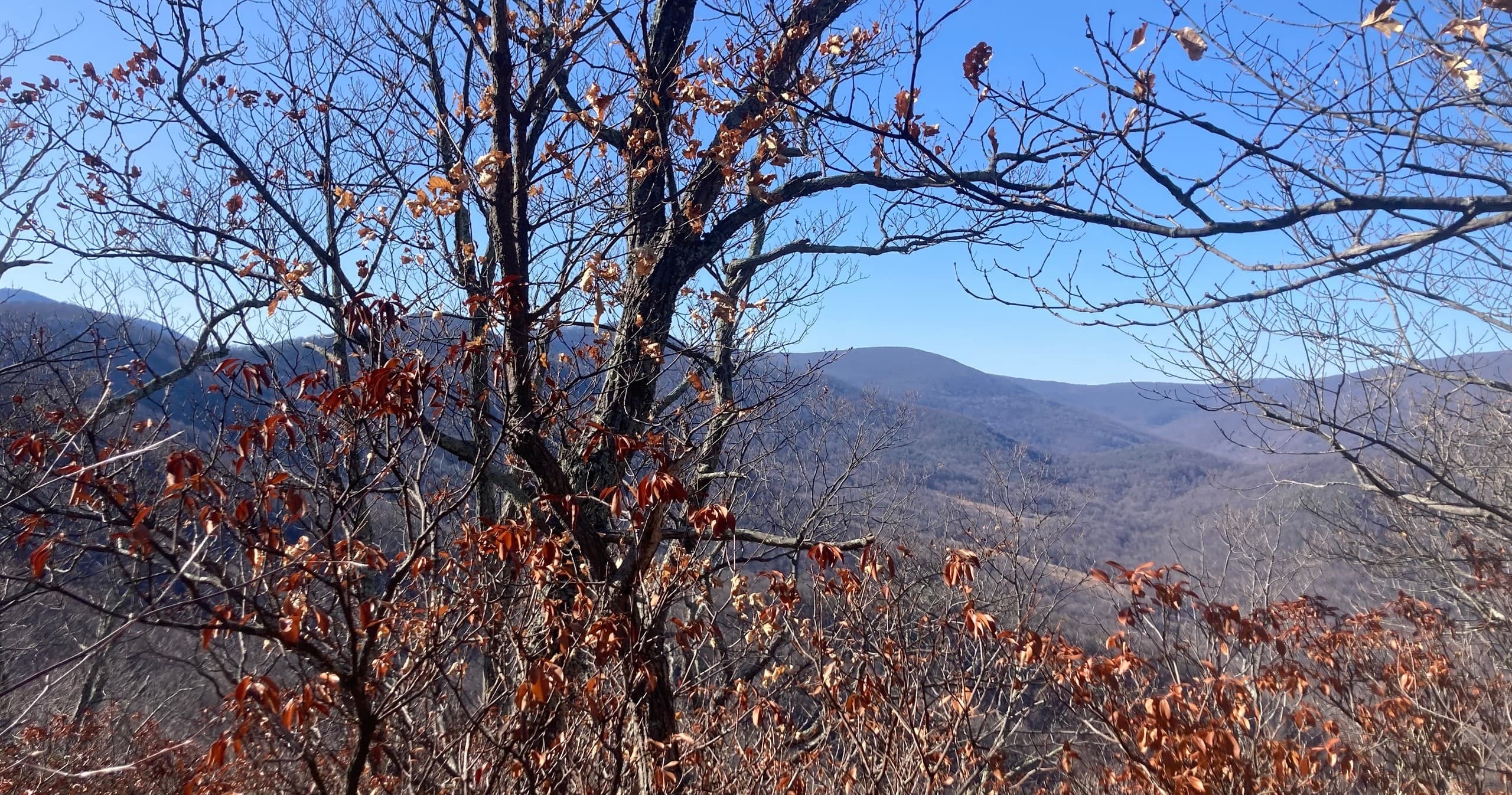 Doubletop Out & Back: Scenic Hikes in Virginia’s Wilderness