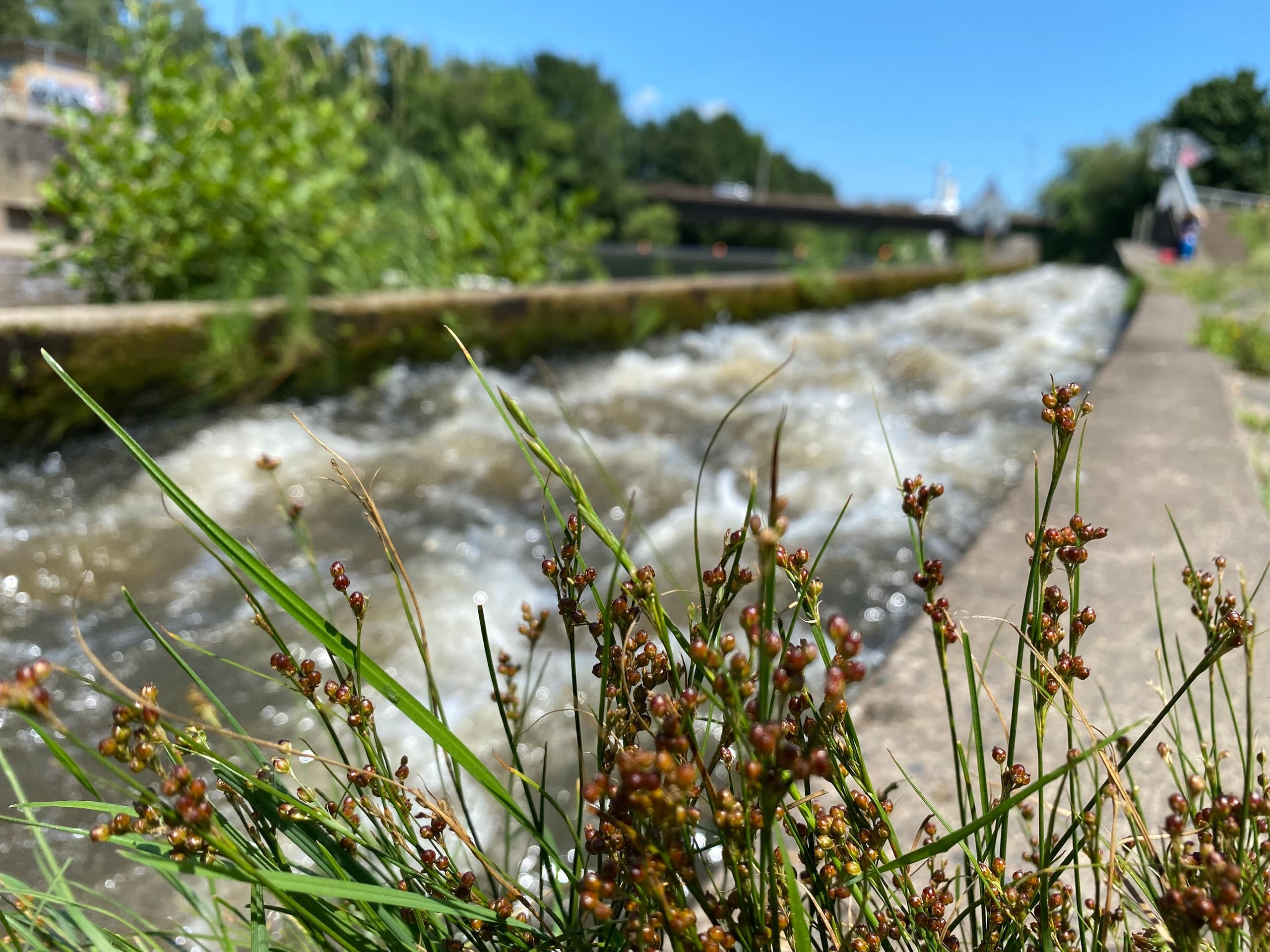 Lahn River Canoe Trips with Weilburger Touristikbetriebe