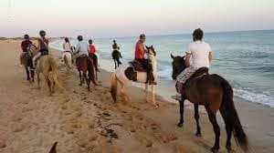 Horse Ride photo 1