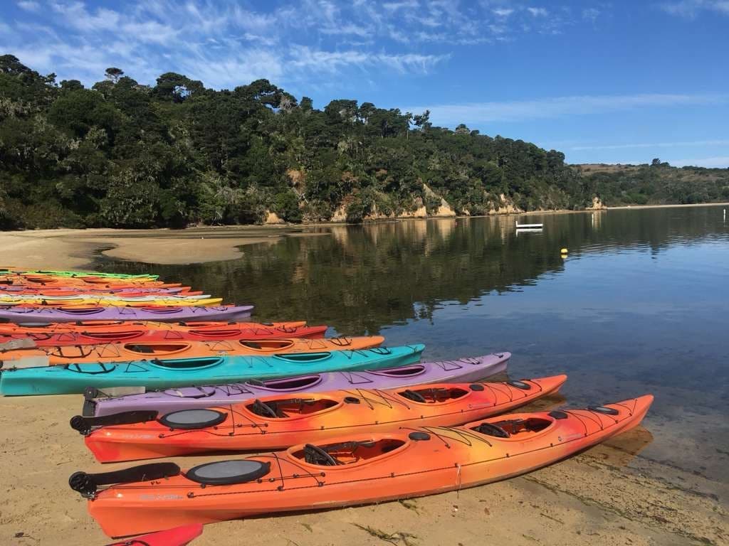 Paddle Heart's Desire Beach: Kayak Tomales Bay Wildlife & Moonlight Tours