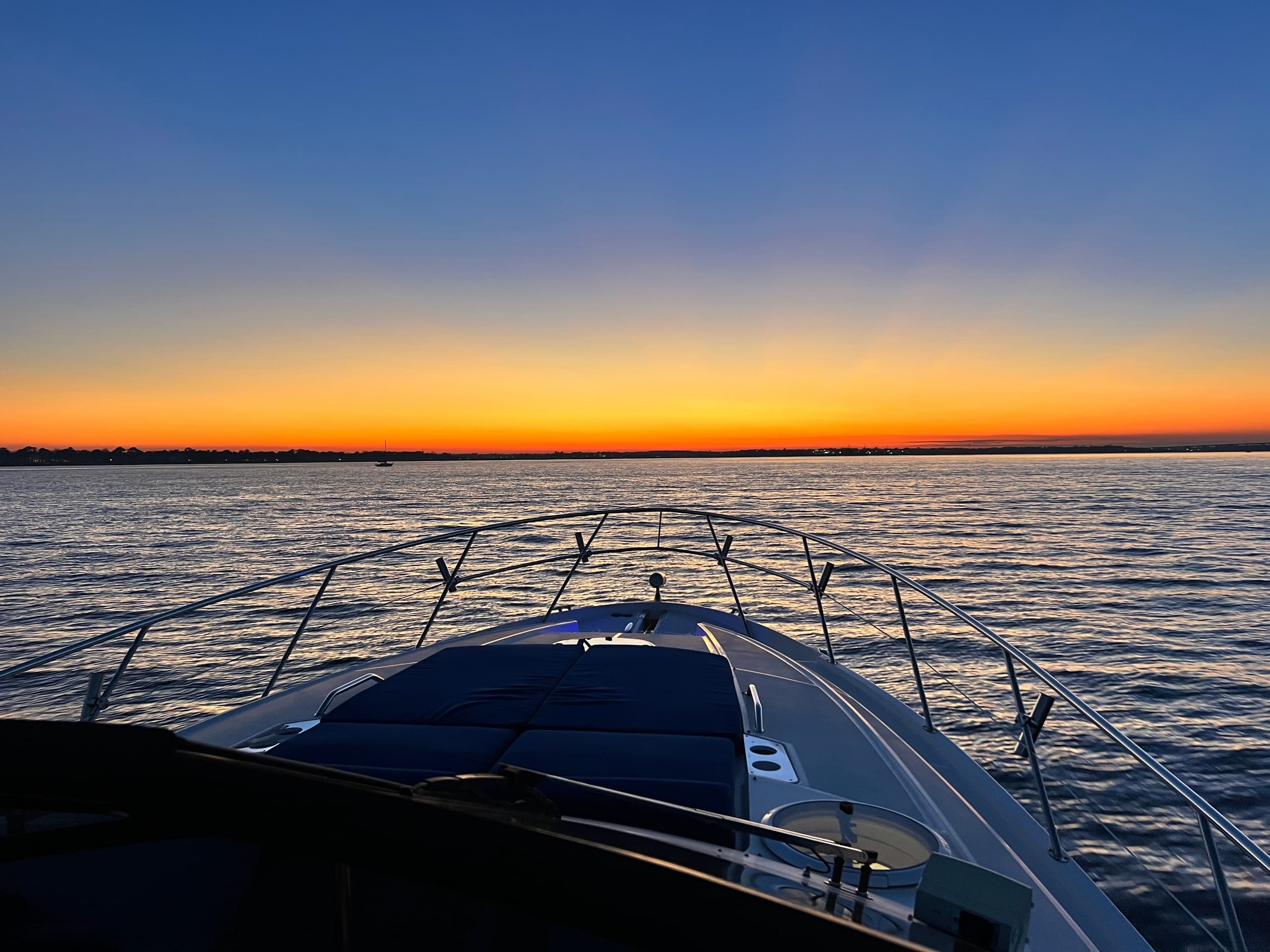 Water-Activities & Chocolate Milk Charters: Charleston Sunset Cruise