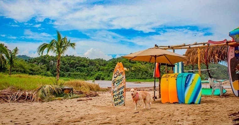 Beach Surfing & Cultural Adventures in Sayulita & San Pancho