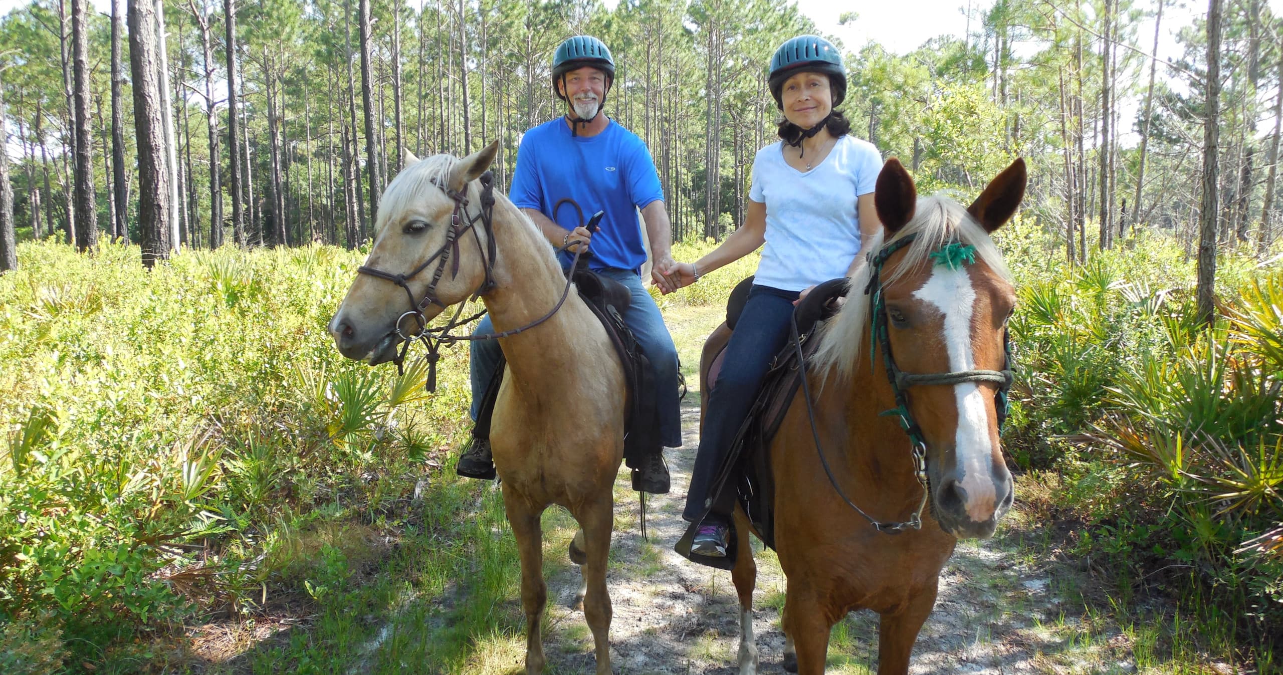 Pumpkin Hill Trail Ride: Horseback Adventure in Jacksonville, FL