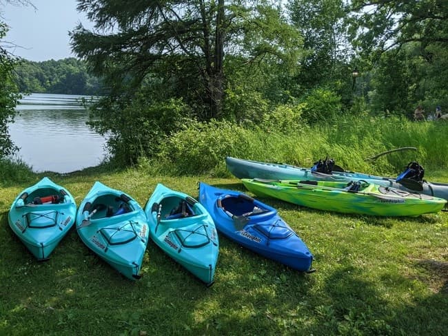 Group of kayaks on grassy shore ready for rental paddling trips