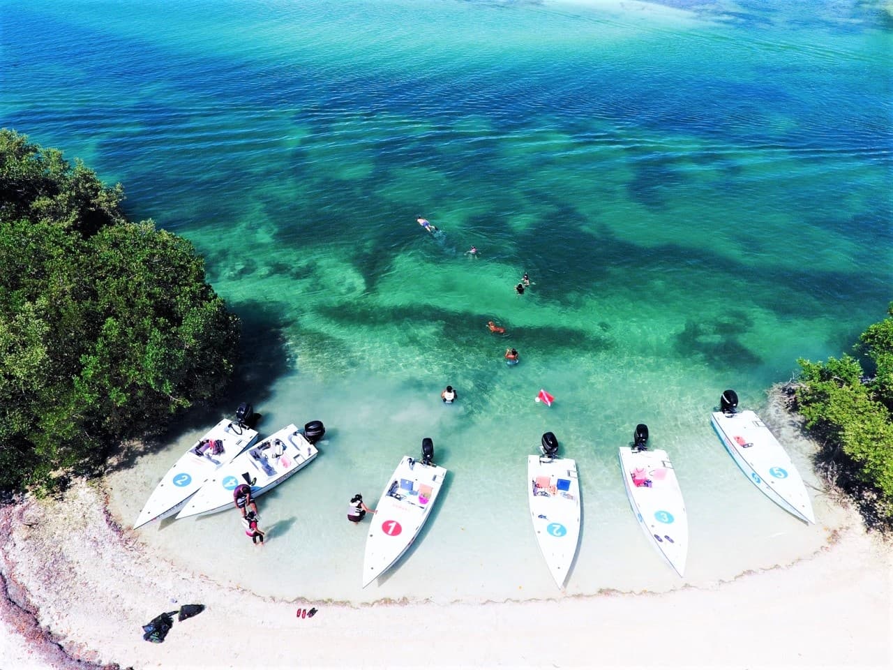 Safari Eco Sandbar Tour in Key West, Florida