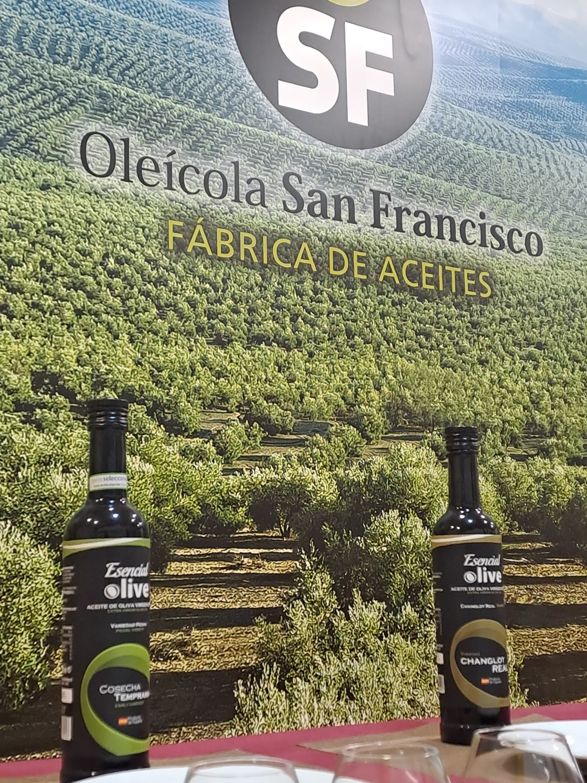 Inside Jaén's Olive Mills: Tasting & Tech at Oleícola San Francisco photo 2