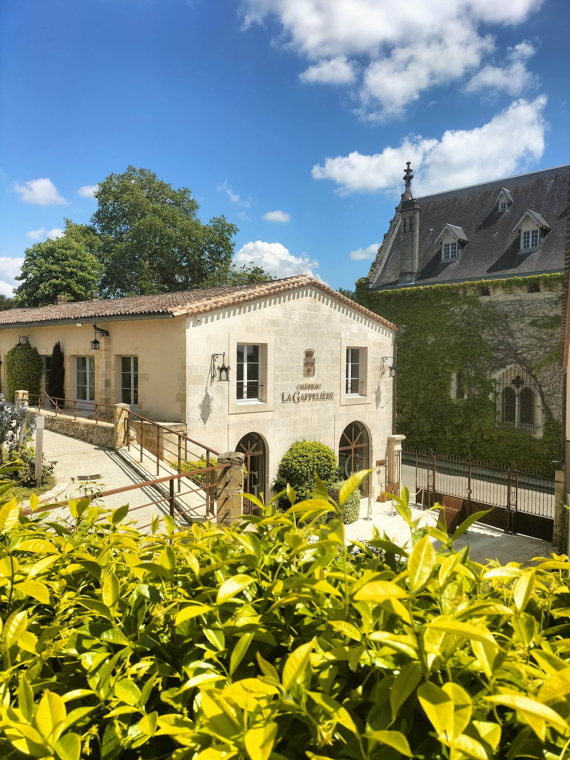 Bordeaux Wine Tours with Sudouest Way
