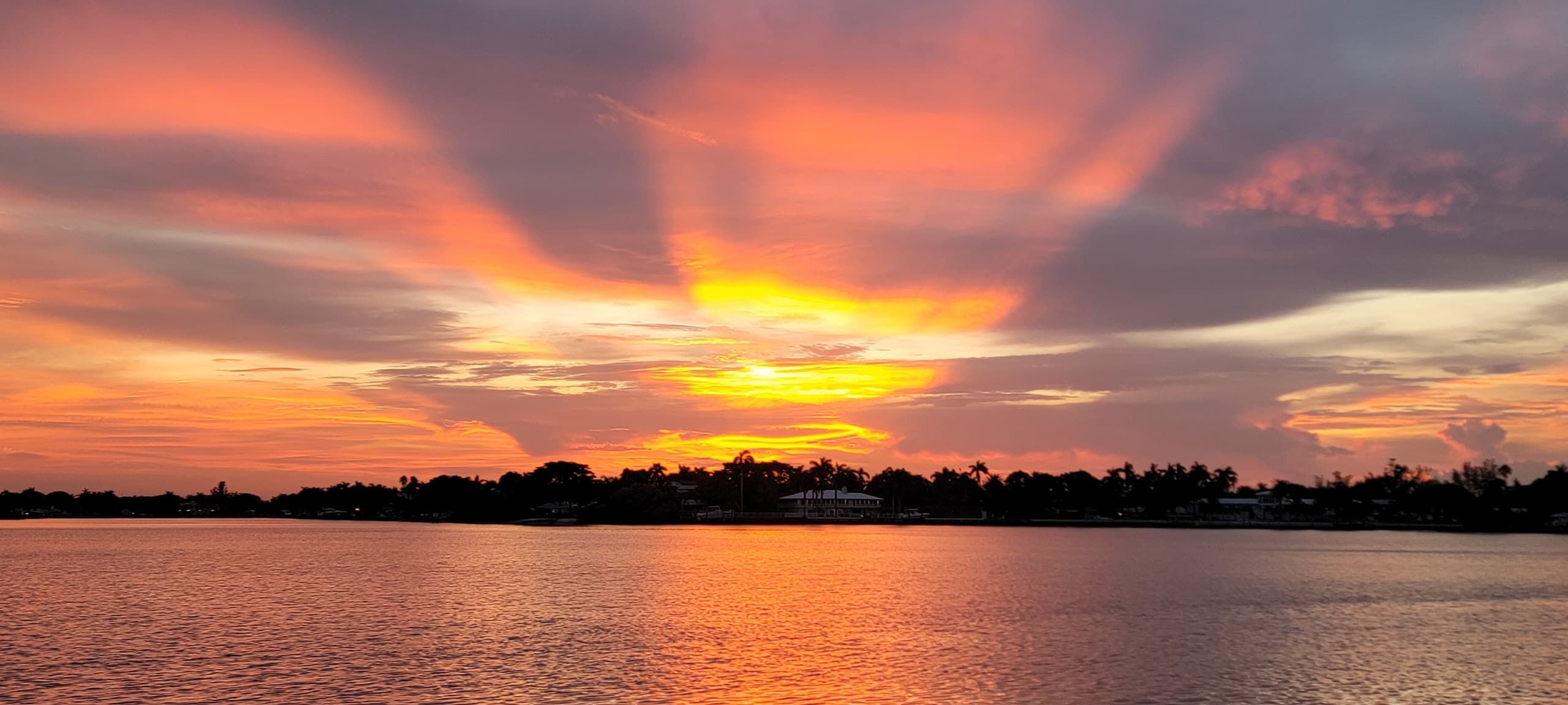 Sunset Boat Cruise & Wildlife Viewing in South Florida
