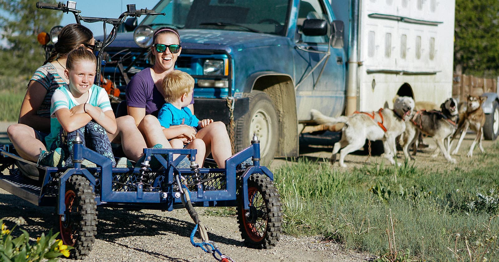 Dog Cart Tour with Mountain Paws in Pagosa Springs