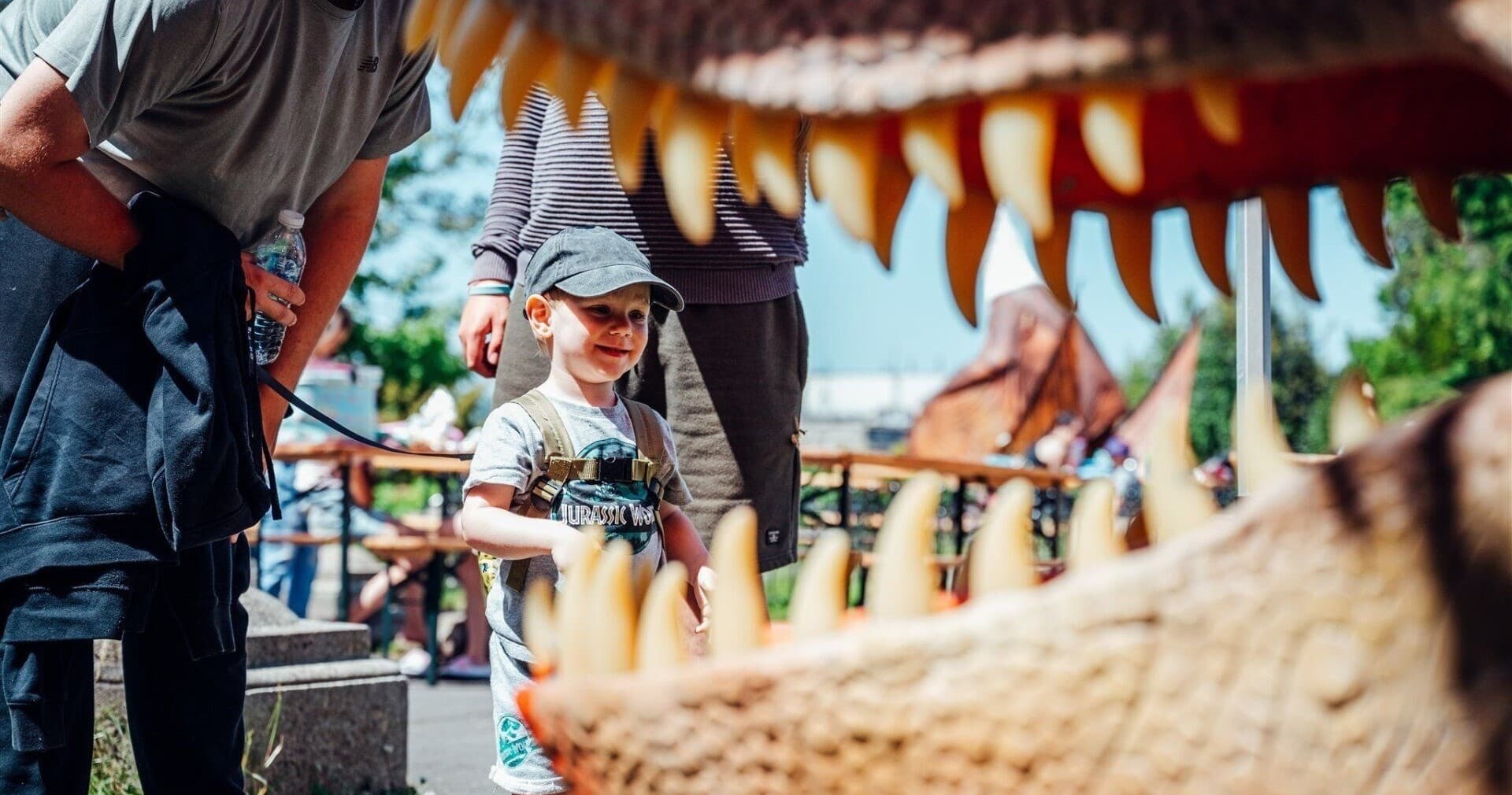 Dinosaurs in the Park team