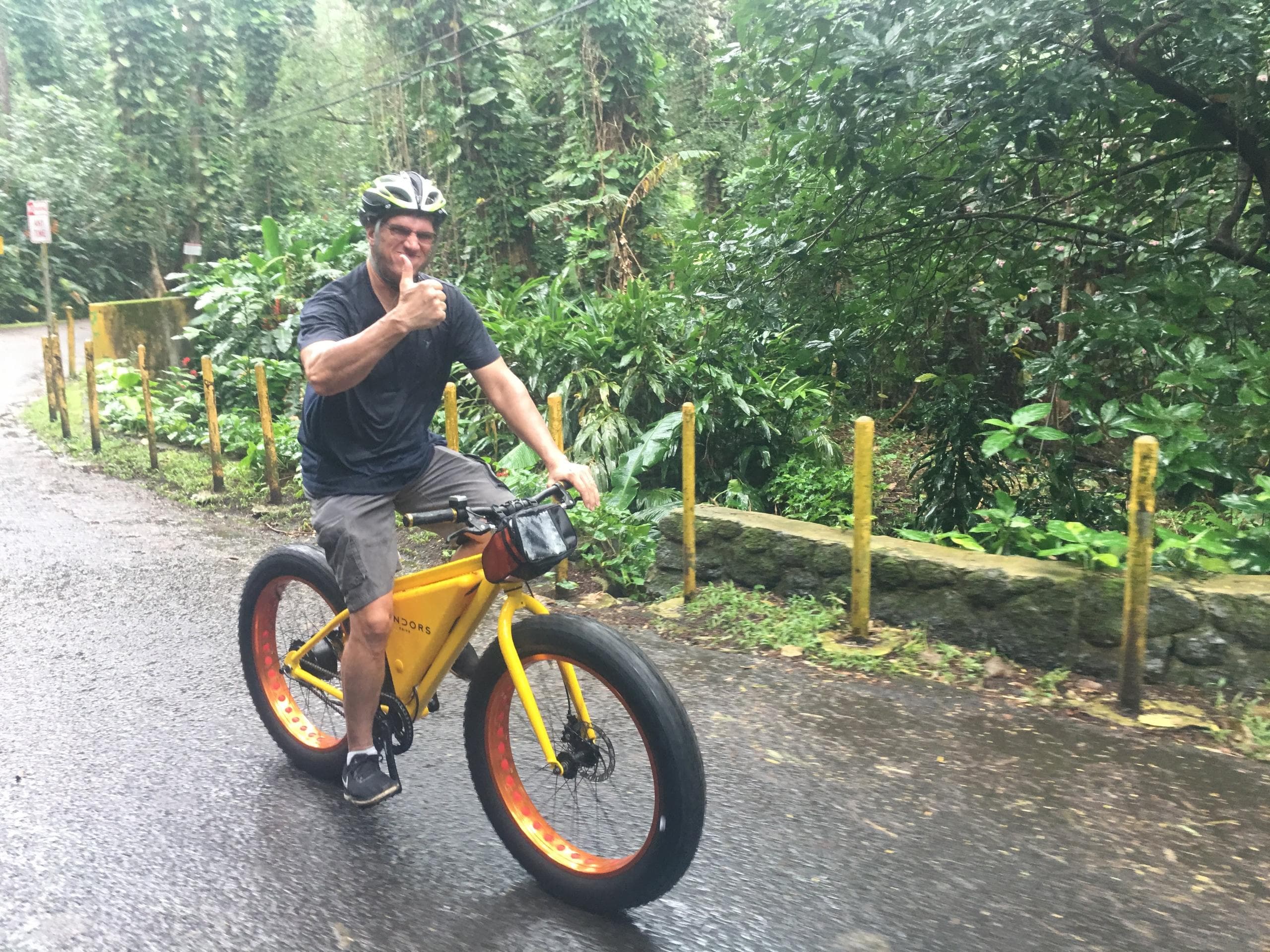 Hawaii Adventure & Manoa Falls Guided Bike & Hike with Bike Tour Hawaii