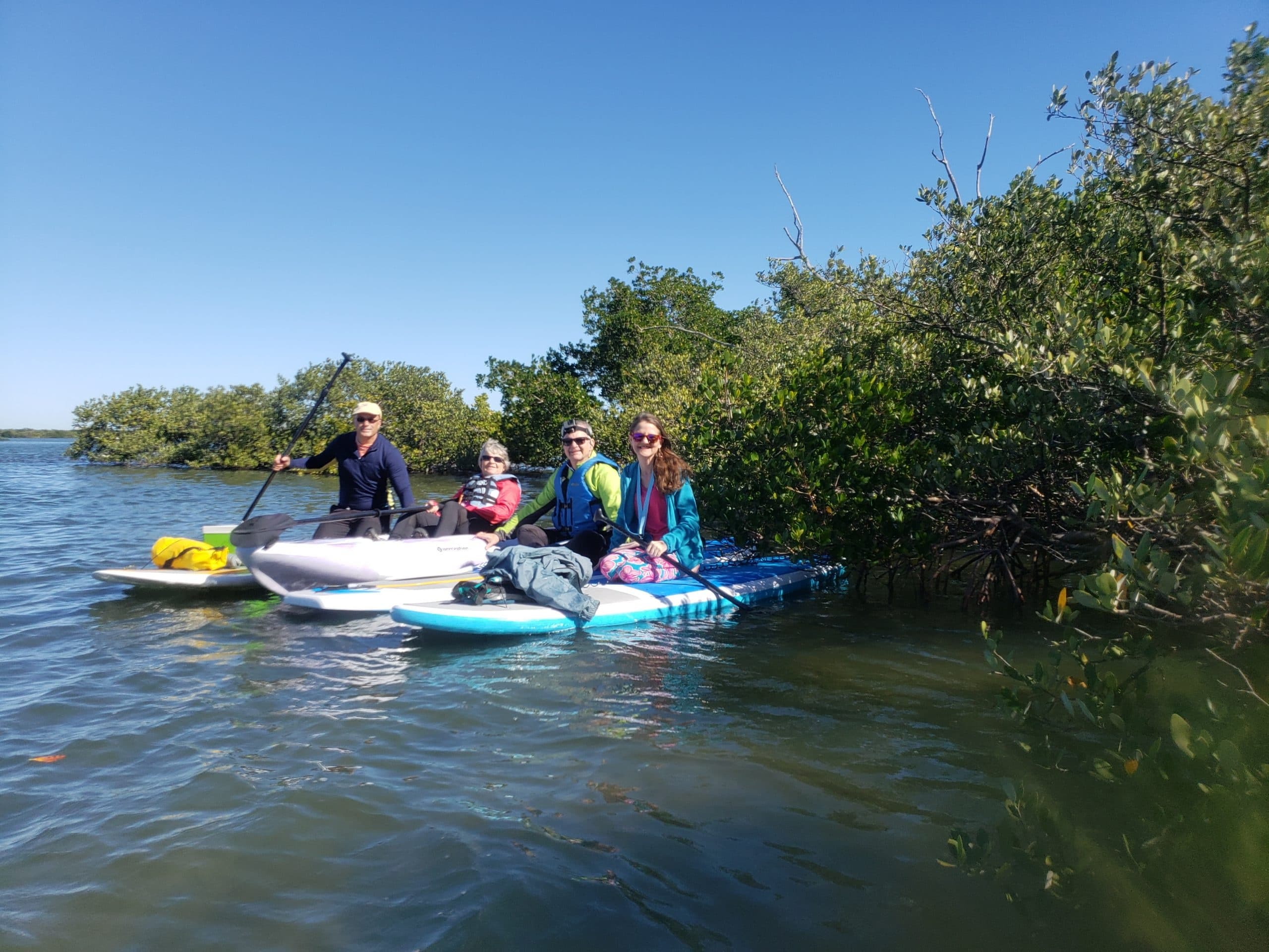 Paddleboard With Native Wildlife at Inner Compass Eco Adventures