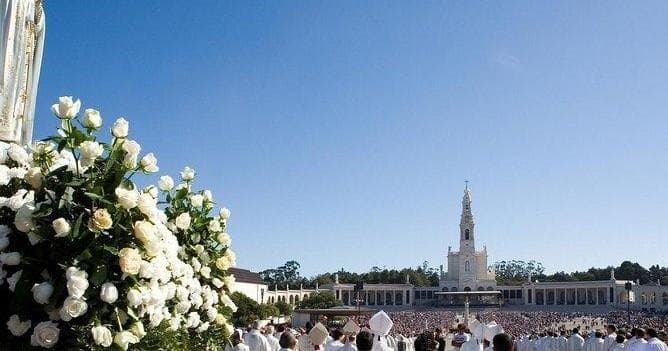 Private Day Tours from Lisbon with ABC Travel