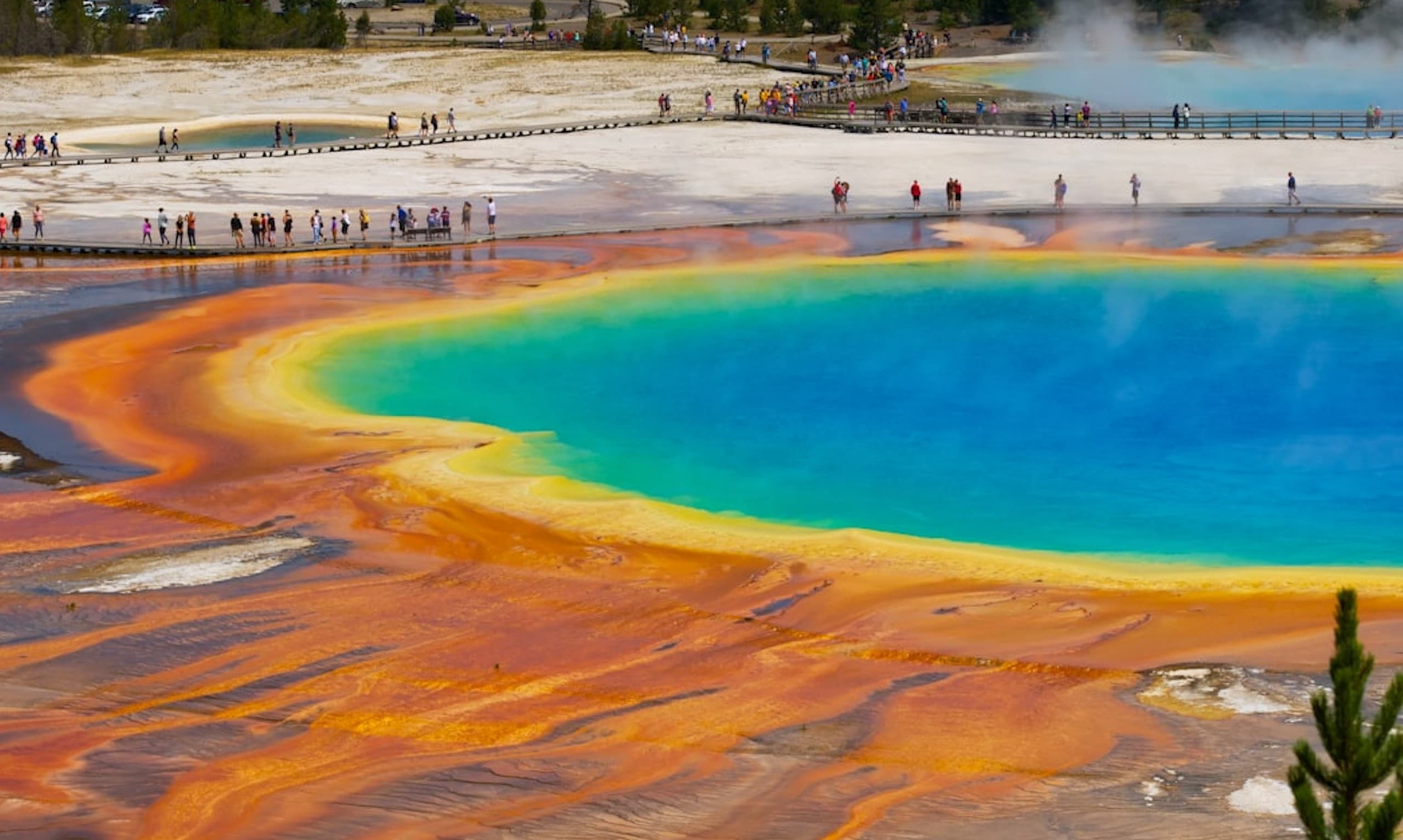 Customize Your Adventure: Tailored Tours to Rocky Mountain, Yellowstone & Grand Teton