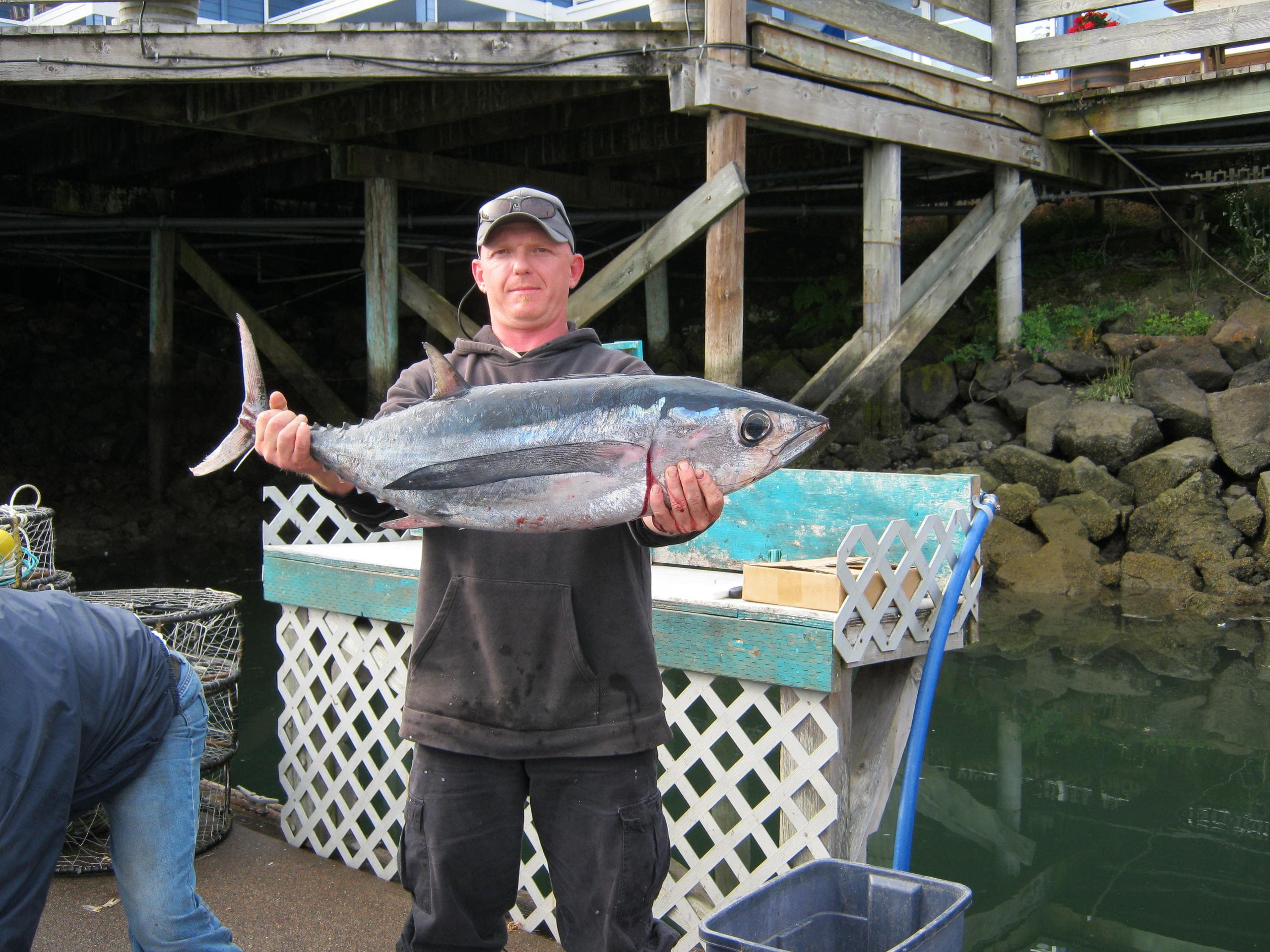 Full Day Albacore Tuna Fishing in Newport, Oregon